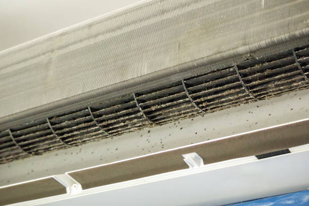 Best Commercial Air Duct Cleaning  in Belmont, VA